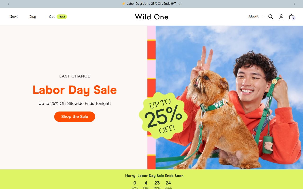 Wild One官网首页截屏